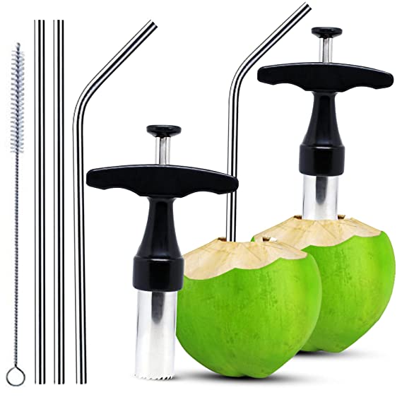 Home Genie Stainless Steel Coconut Opener Tool with Comfortable Grip