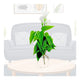 Home Genie Artificial Flower Anthurium Bunch with Vase 7 X 17 Inch